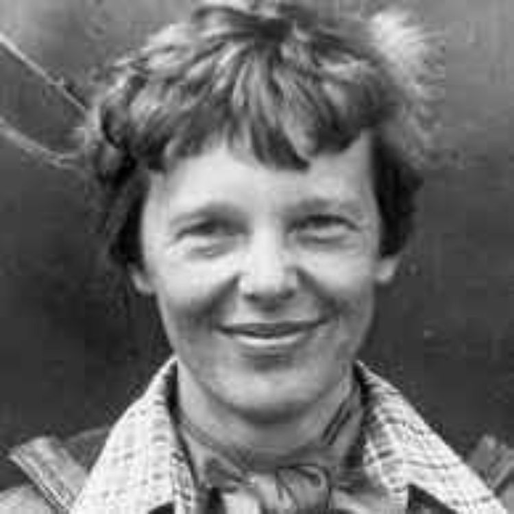 cover art for The Disappearance of Amelia Earhart: What Happened on Her Last Flight?