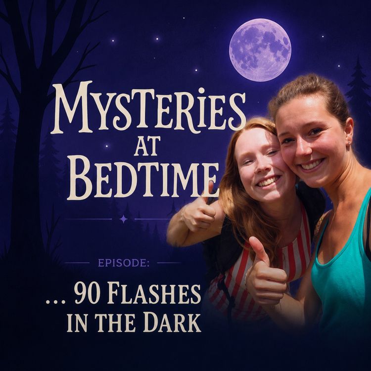 cover art for Ninety Flashes in the Dark: The Disappearance of Kris Kremers and Lisanne Froon