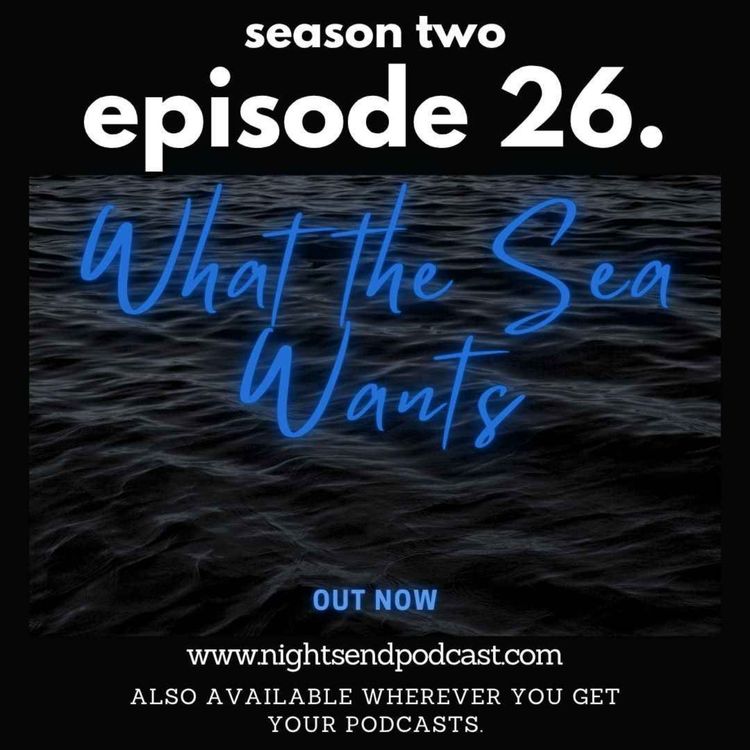 cover art for What the Sea Wants