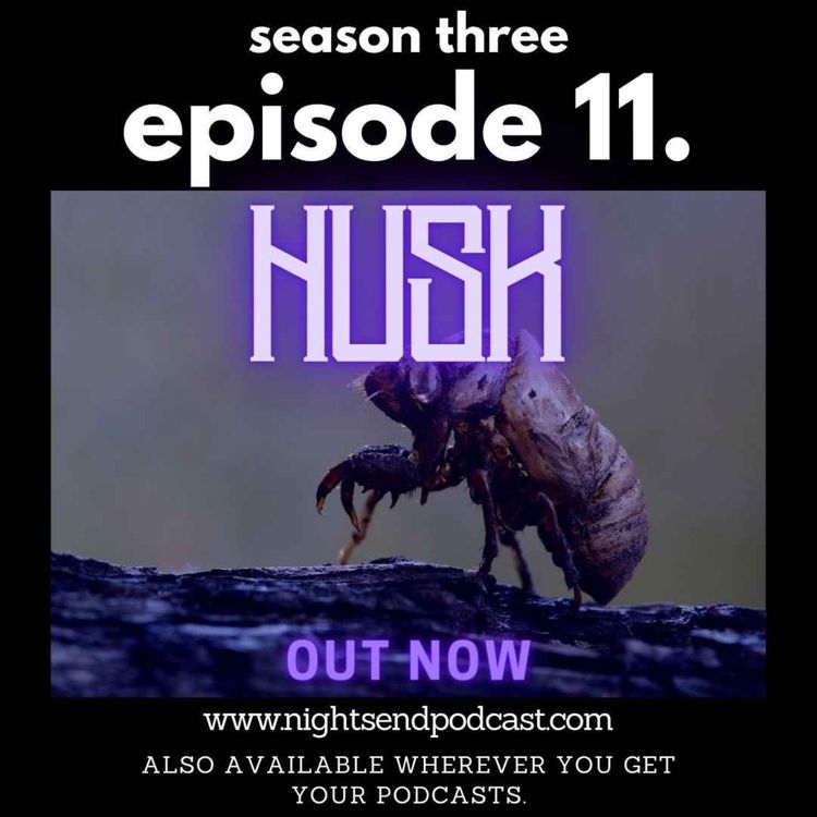 cover art for Husk