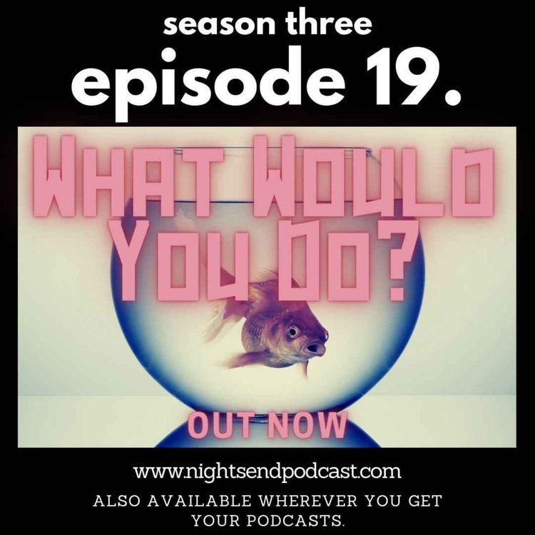 cover art for What Would You Do?