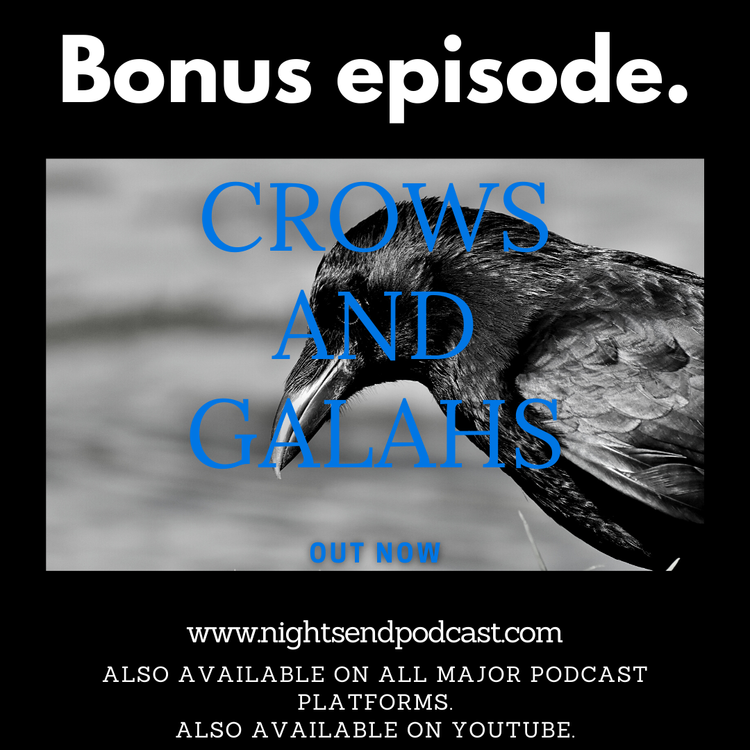 cover art for Crows and Galahs