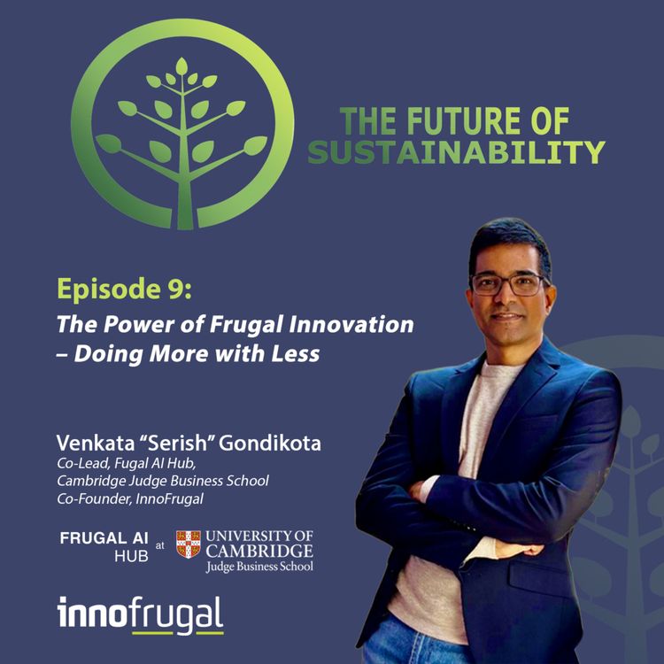 cover art for The Power of Frugal Innovation - Doing More with Less