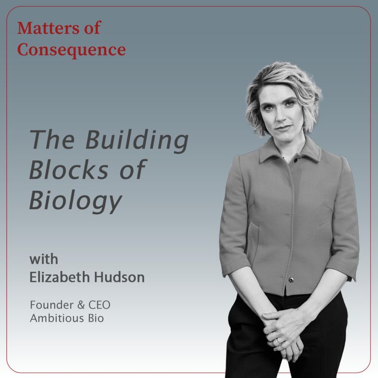 cover art for The Building Blocks of Biology - On biological AI, data gaps, and the questions we’re not asking