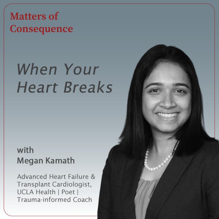 cover art for When Your Heart Breaks - On medicine, poetry and the quiet strength of those who show up