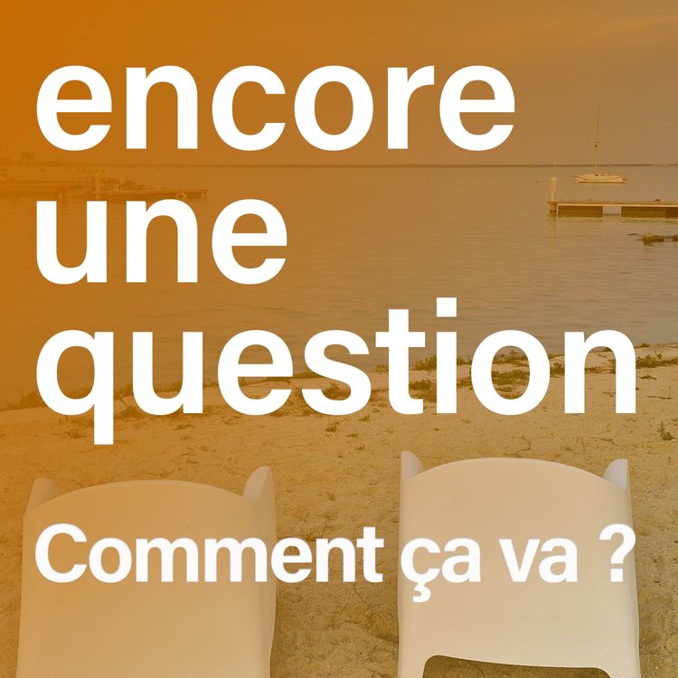 cover art for Comment ça va ? Marie et Samy