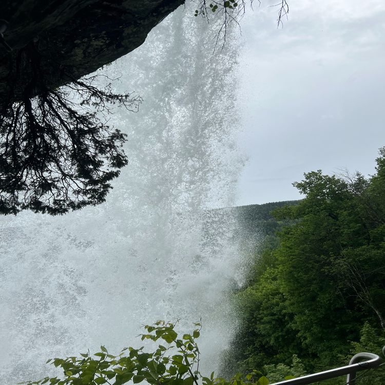 cover art for Steinsdalsfossen, Norheimsund, NORWAY