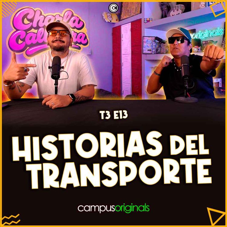 cover art for Manual de supervivencia para el transporte público: Lo que hemos vivido.