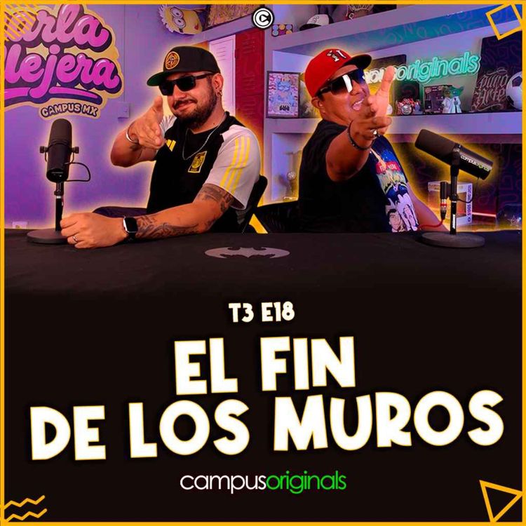 cover art for De Metroflog a Facebook: El origen de nuestro Cringe.