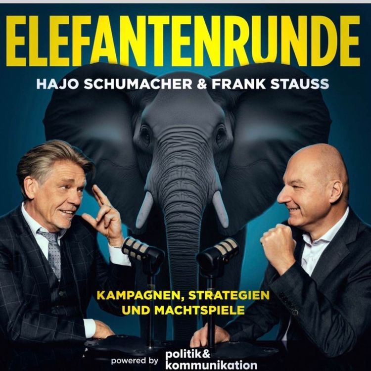 cover art for Wie hat sich Jens Spahn von der AfD austricksen lassen, Frank Stauss?