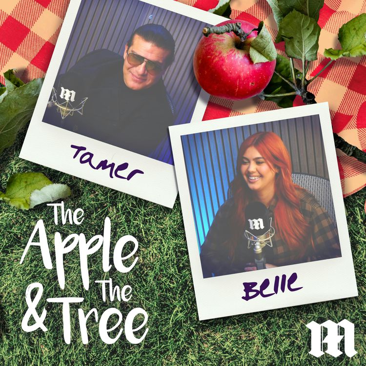 cover art for Tamer Hassan: When You Left, I Was Devastated