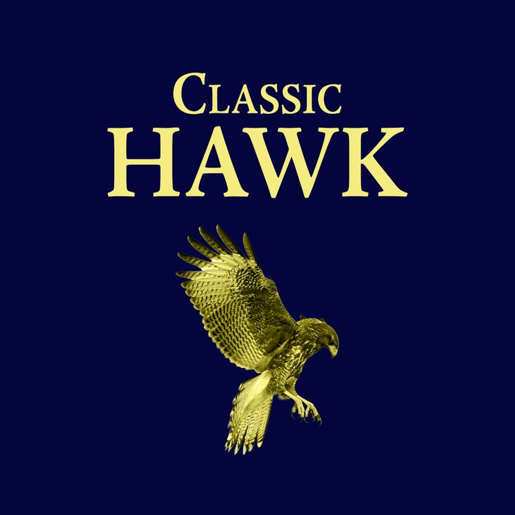 cover art for Classic Hawk: LOST AT SEA!