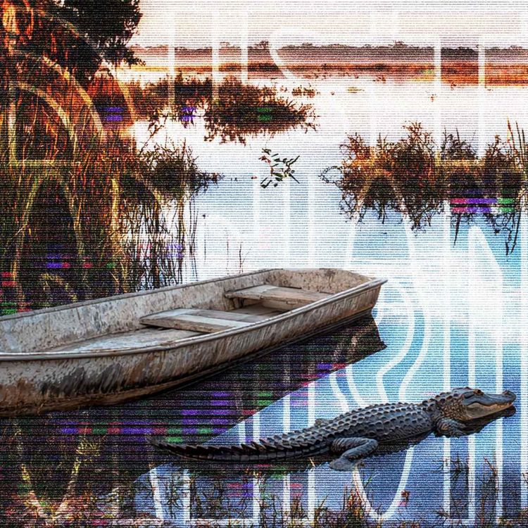 cover art for 🎙️#149 - Mike Williams - Accident de chasse ?