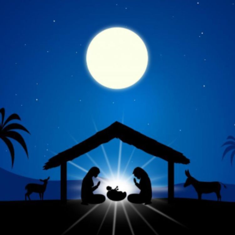 cover art for 2.06 Introduction - The Birth of Jesus