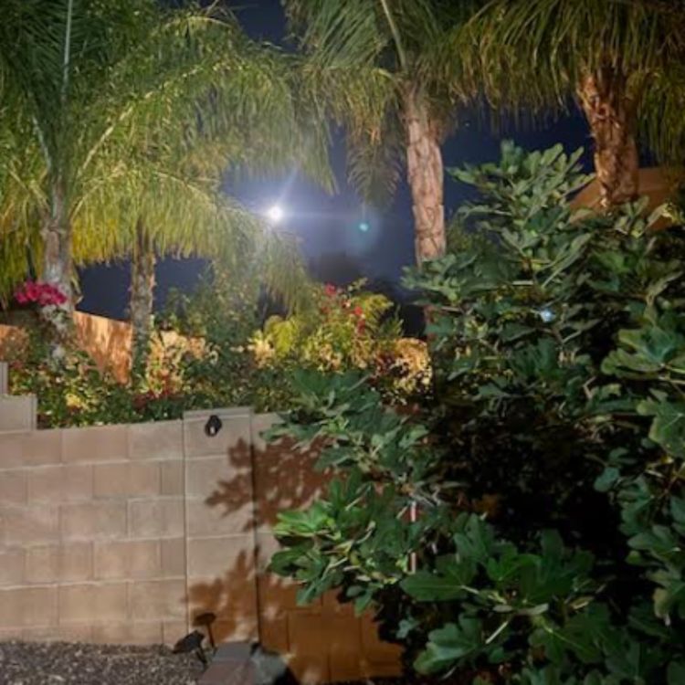 cover art for 4.01d Jesus’s Ministry Begins - Nathanael