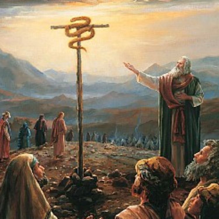 cover art for 4.04 Jesus Ministry Begins - Nicodemus