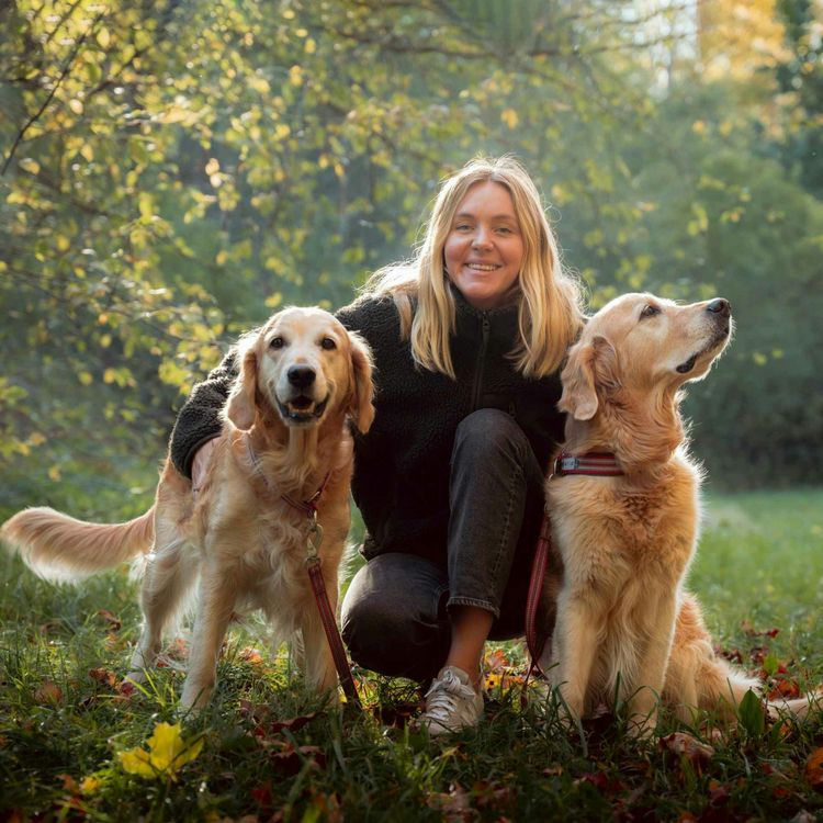 cover art for Hundstallets årsresumé 2023