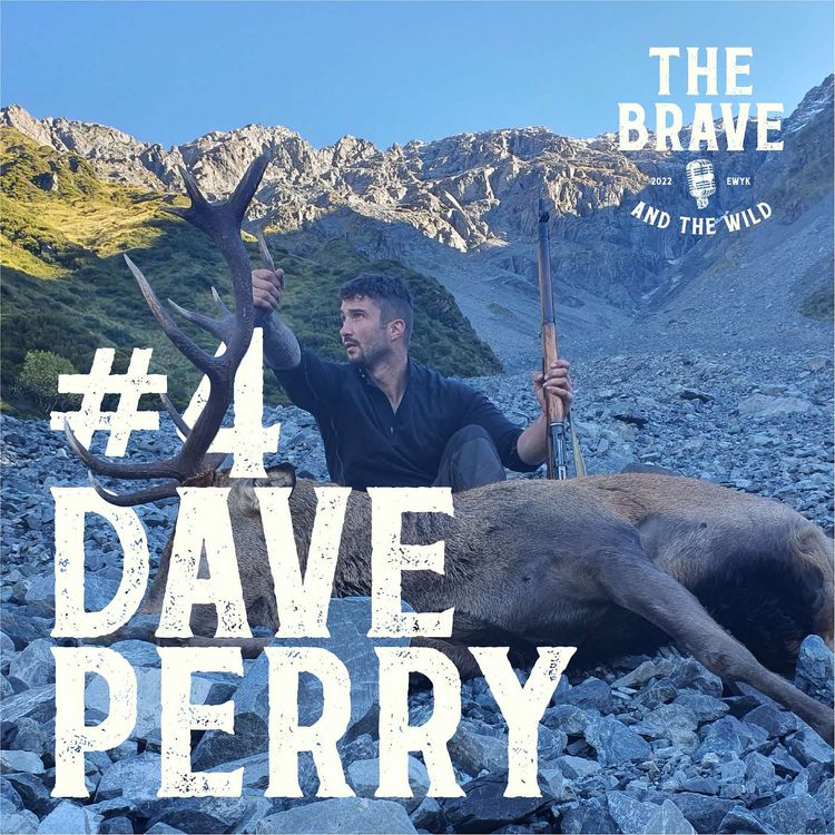 cover art for Dave Perry #4: Army Life, Hunting and Combating Depression