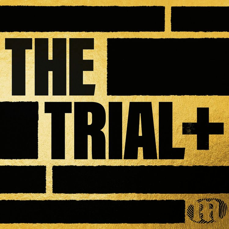 cover art for The Trial+: The Punisher - Testifying at the Trial of Diddy