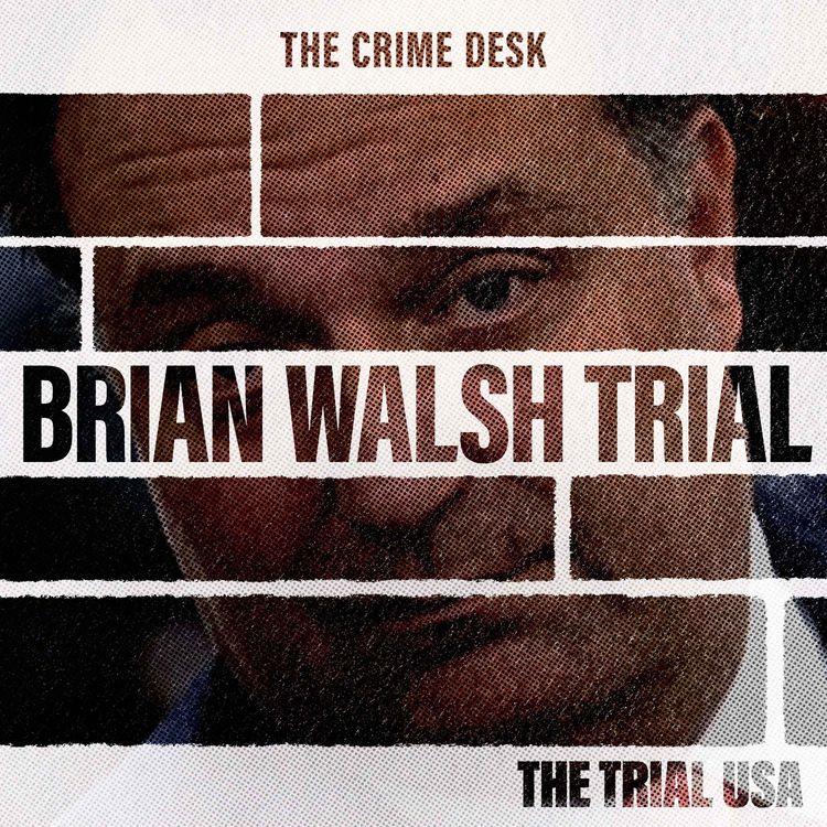 cover art for Brian Walshe: When Your Search History Becomes Evidence