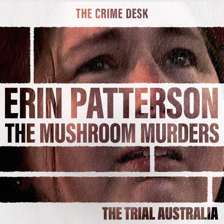 cover art for Erin Patterson - The Interrogation