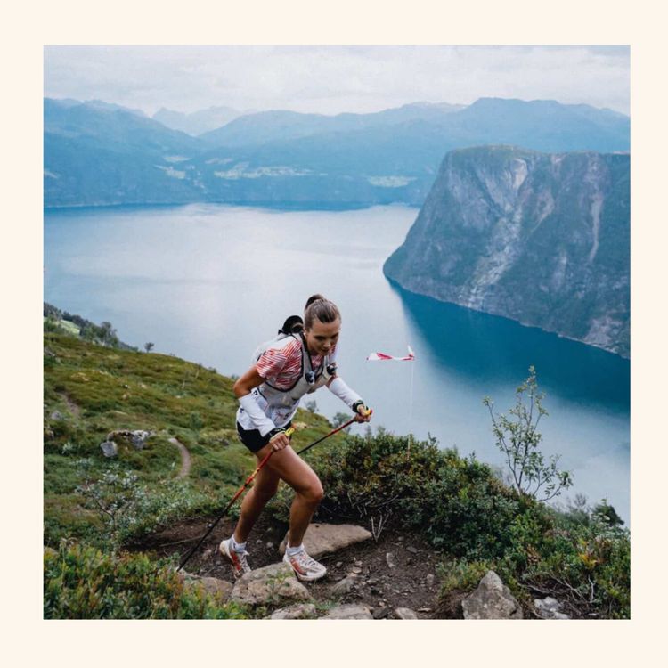 cover art for Råskap