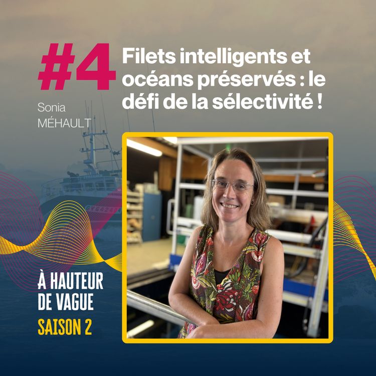 cover art for Pêcher mieux pour préserver la mer : les secrets de la sélectivité