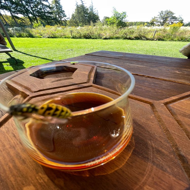 cover art for Who you Wanna B?