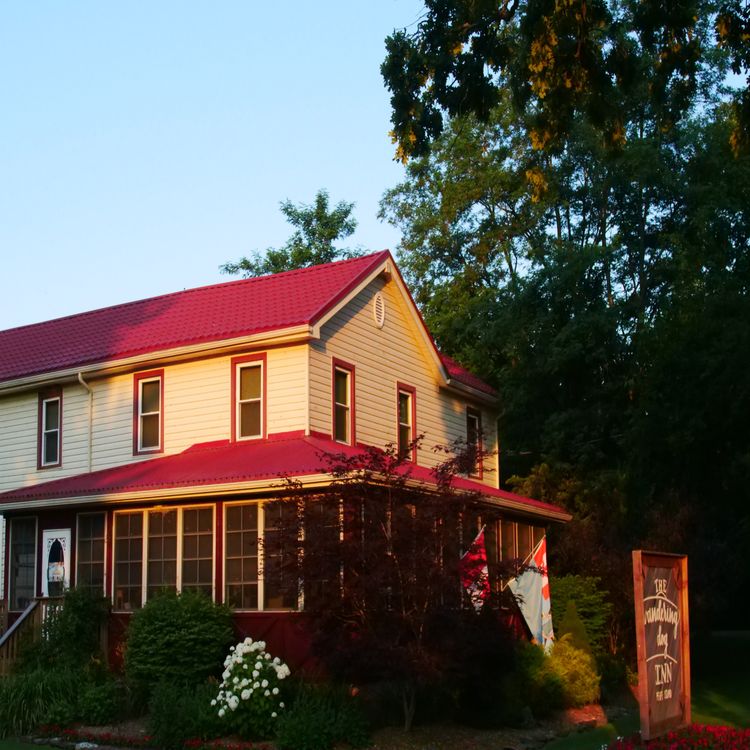 cover art for On Location at The Dog