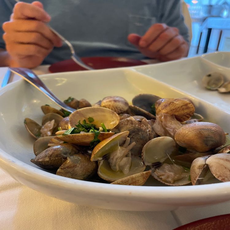 cover art for The Sleeper Episode