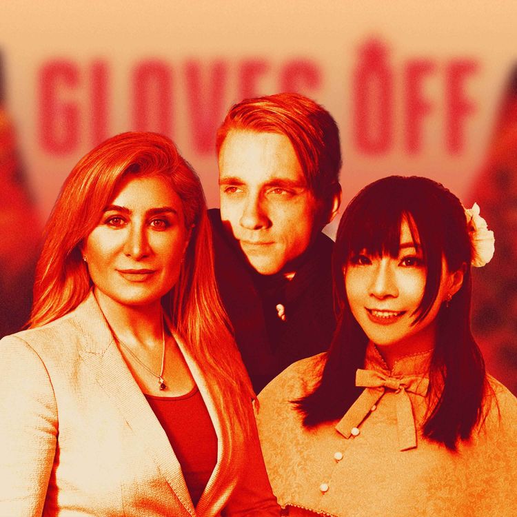 cover art for How Do We Not Lose The Information War?