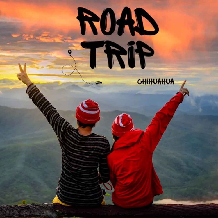 cover art for Road Trip Chihuahua Ep. 7 - Turibus