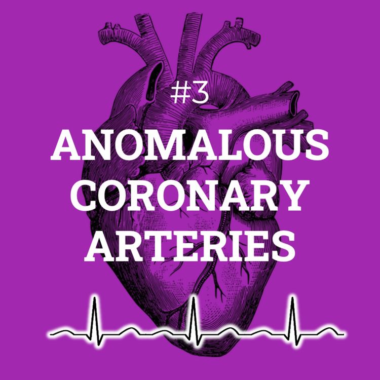 cover art for #3 Anomalous coronary arteries