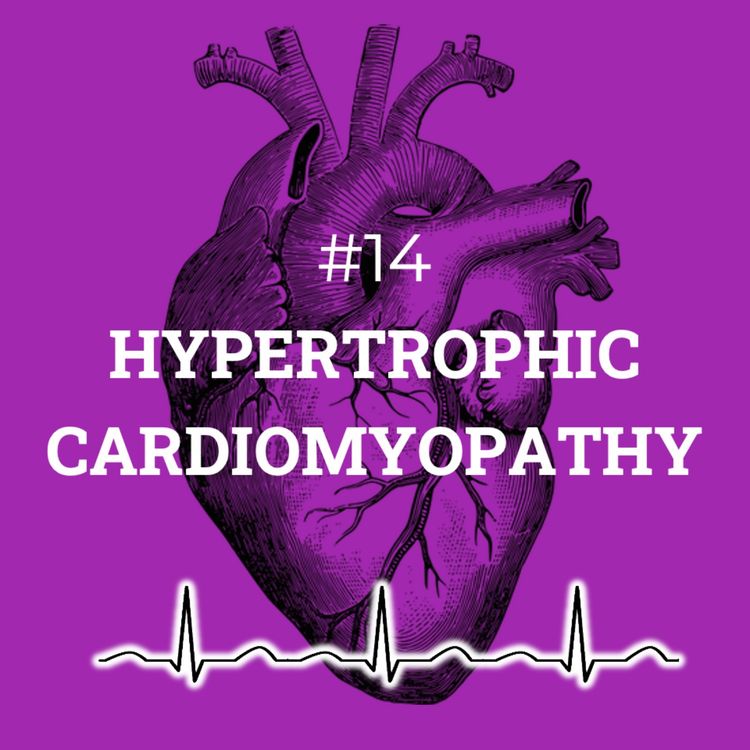 cover art for #14  Hypertrophic cardiomyopathy