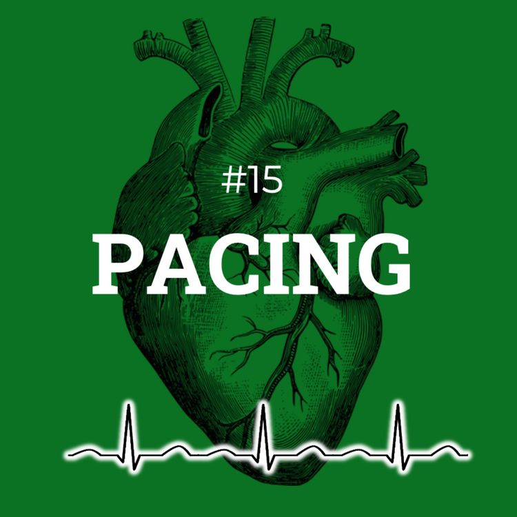 cover art for #15 Pacing