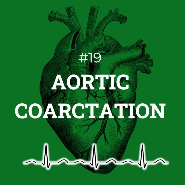 cover art for #19 Aortic coarctation