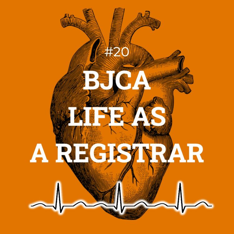 cover art for #20 BJCA Life as a registrar