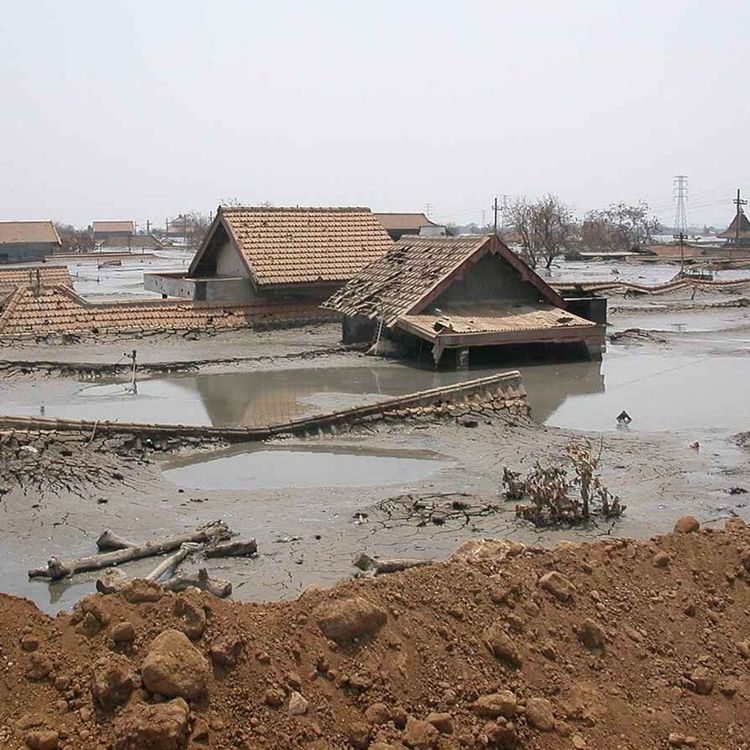 cover art for Covered In Mud or Mud Flood Cover-up?