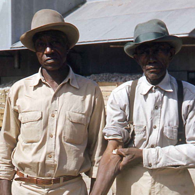 cover art for The Unethical Medical Experiment That Lasted 40 YEARS!