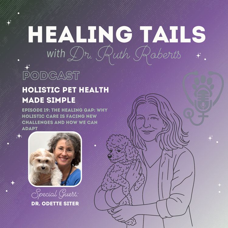 cover art for The Healing Gap: Why Holistic Care Is Facing New Challenges and How We Can Adapt