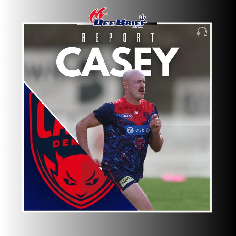 cover art for Casey Report: Aido and Lurker dominate up forward