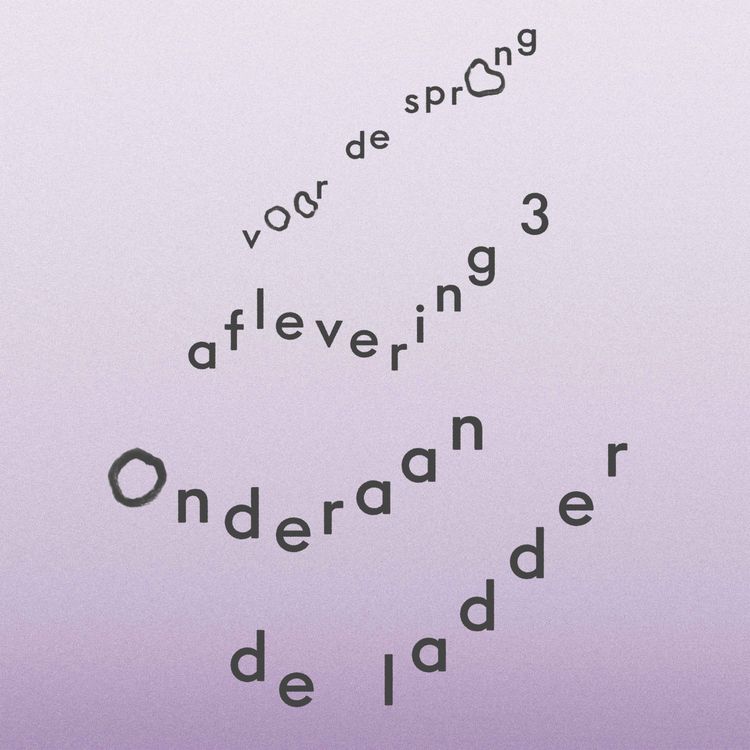 cover art for Onderaan de ladder