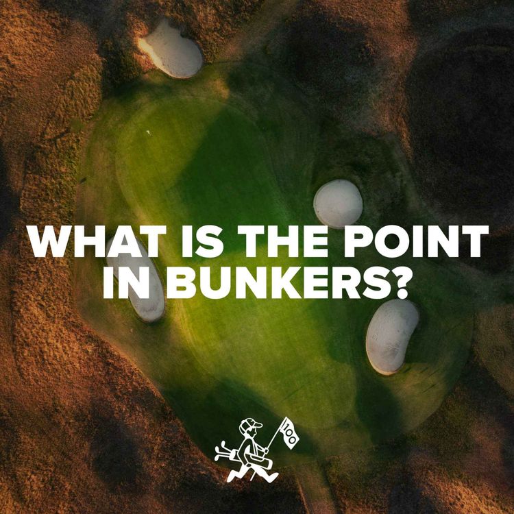 cover art for What Is The Point In Bunkers?