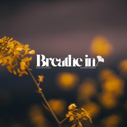 cover art for BREATHE IN