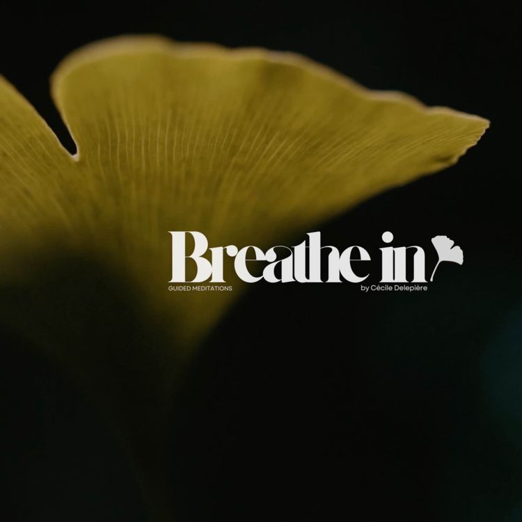 cover art for BREATHE IN | The Gingko 彡