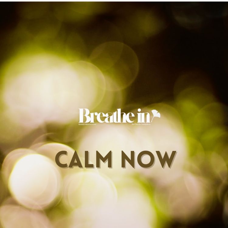 cover art for BREATHE IN | 5 Minutes to Calm Your Nervous System | Gentle Breathing Reset