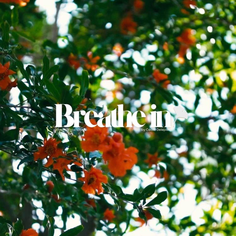 cover art for BREATHE IN | 🌺 Bloom | 8 Minute ASMR Meditation for Renewal & Release
