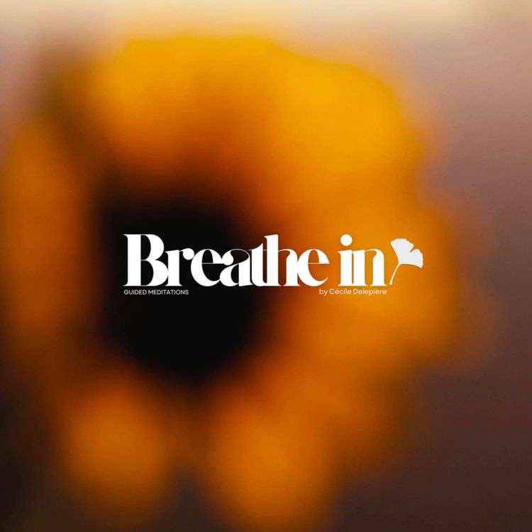 cover art for BREATHE IN | 20 Minute Summer Guided Meditation🌻