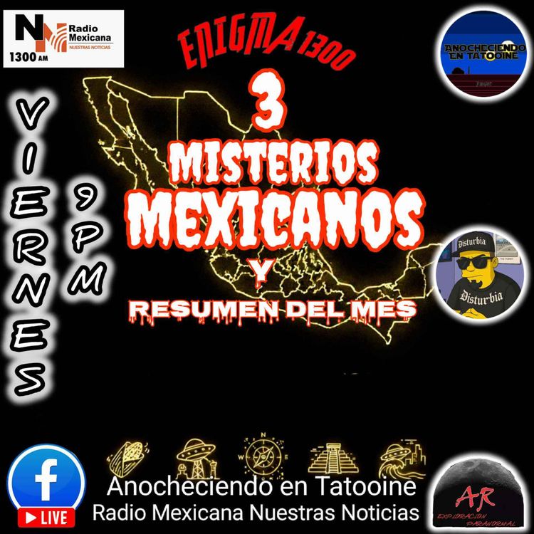 cover art for EL OVNI de cd PEMEX, La tamalera de la Portales 