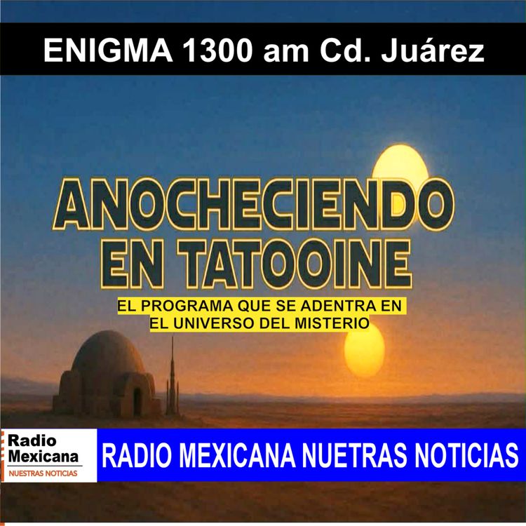 cover art for Los niños de los ojos negros